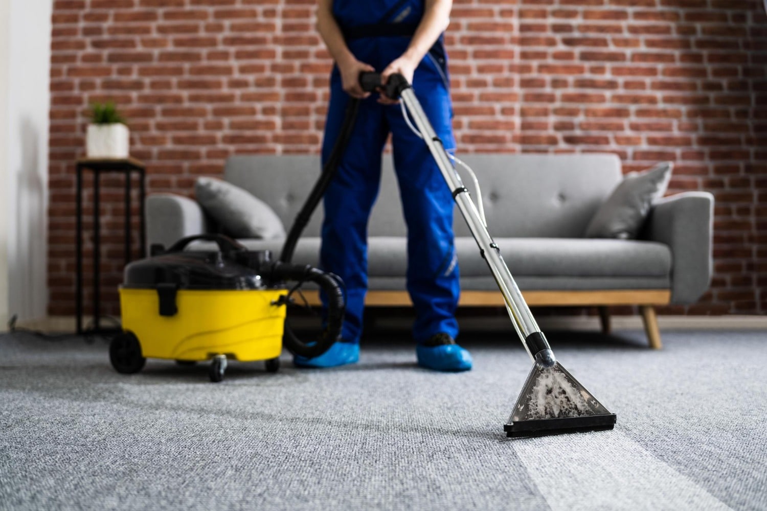Carpet steam cleaning in progress