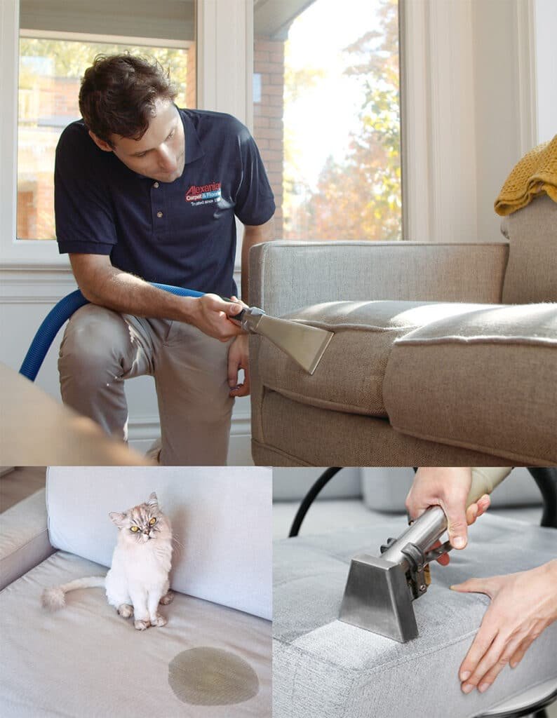 What Characterises Professional Upholstery Cleaning in Hawthorn